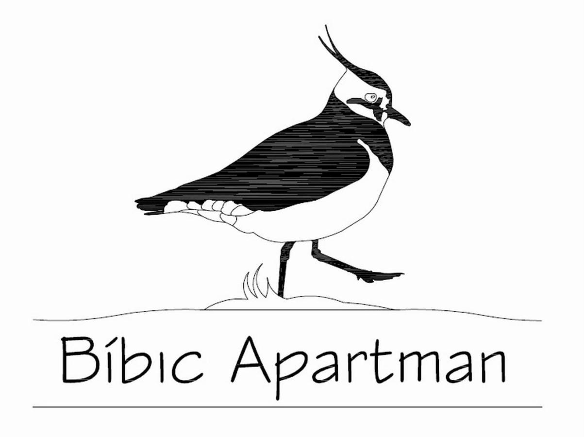 Bibic Apartman A Apartment Kapolnasnyek Ngoại thất bức ảnh